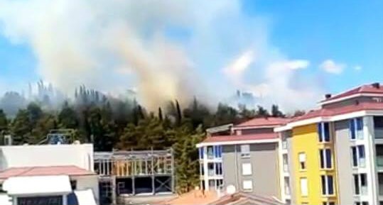 LJUBOVIĆ, a hill in the capital of Montenegro - In a single day there were 47 fires in the city